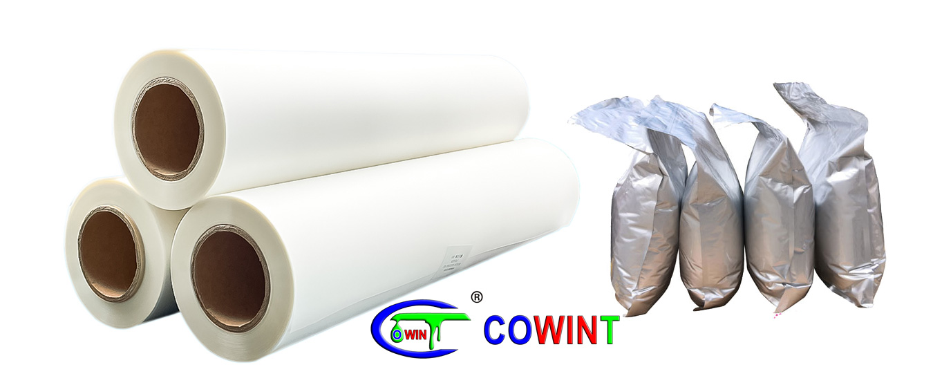Cowint DTF Direct to Film products